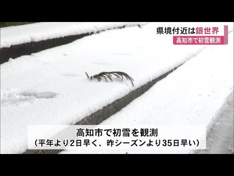 南国土佐に寒波襲来《高知市で初雪観測》県境付近は銀世界に…大雪の可能性はなくなる【高知】 (24/12/19 11:30)