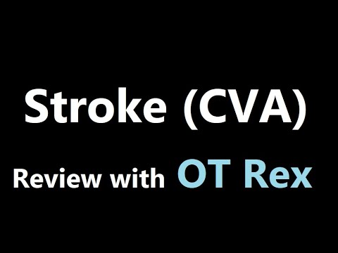 OT Rex - Stroke (CVA) Review - Cause, Signs, Symptoms, Treatment