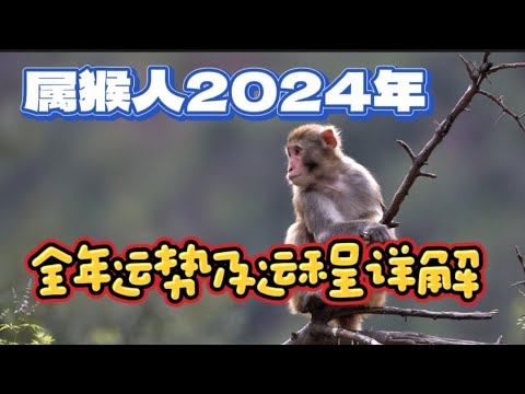 属猴人2024年全年运势及运程详解