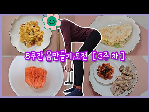 [ENG SUB][8주간 몸만들기 도전 3주] 나도 복근 한번 만들어보자!! 다이어트 브이로그, Diet Vlog