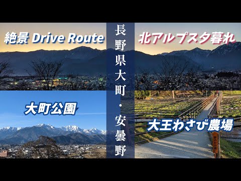 ”大町公園からの北アルプス夕暮れ絶景＆安曇野大王わさび農場”  長野県絶景DRIVE ROUTE