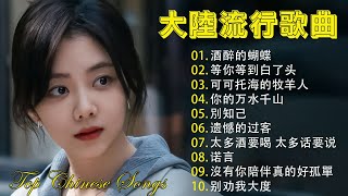 2025 流行歌曲【無廣告】🎶2025中国大陸流行歌曲❤️Top Chinese Songs 2025🔥 等你等到白了头 / 可可托海的牧羊人 / 酒醉的蝴蝶 / 你的万水千山 / 遗憾的过客