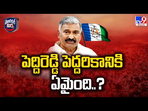 Political Mirchi : పెద్దిరెడ్డి పెద్దరికానికి ఏమైంది..? - TV9