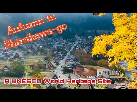 Morning walk in Shirakawa-go with Gassho-style Houses and Autumn Leaves | UNESCO Word Heritage Site