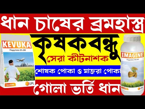 krishak bandhu I ধান চাষের মাজরা ও শোষক পোকার দমনের কীটনাশক I Kevuka upl insecticide I UPL IMAGINE