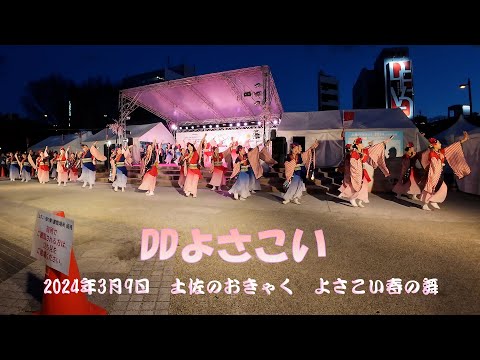 DDよさこい　よさこい春の舞　土佐の「おきゃく」2024 (4K)