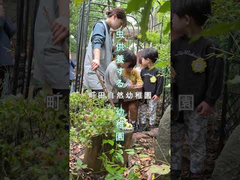 【町田自然幼稚園】虫供養する幼稚園