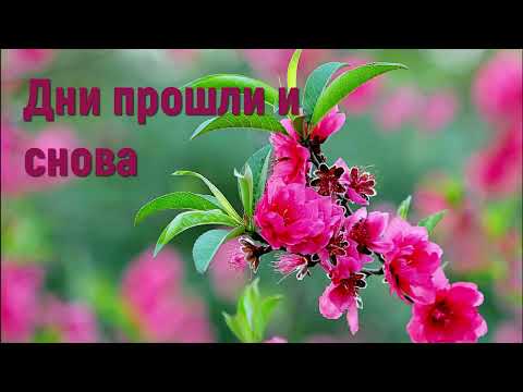 Дни прошли и снова - Христианские песни #днипрошлииснова #christiansongs