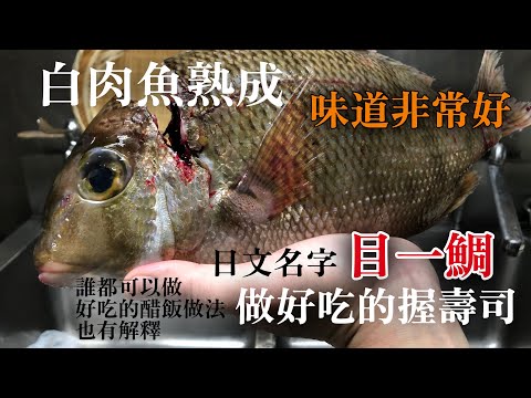 【白肉魚熟成】通過"目一鯛"解釋熟成魚的做法　再來介紹誰都可以在家裡做非常好吃壽司飯做法　公開做到握壽司美味食譜