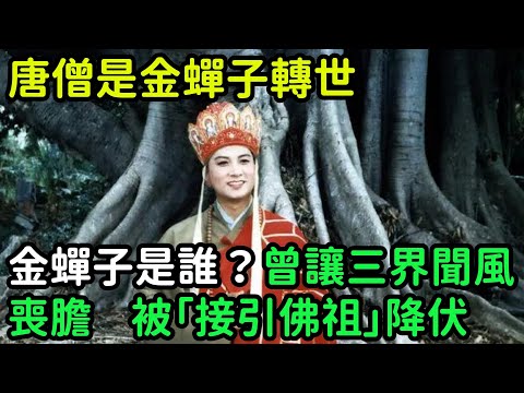 唐僧是金蟬子轉世，金蟬子是誰？曾讓三界聞風喪膽，被「接引佛祖」降伏【小菲扒歷史】 #歷史#歷史故事 #古代曆史#歷史人物#史話館#歷史萬花鏡#奇聞#歷史風雲天下