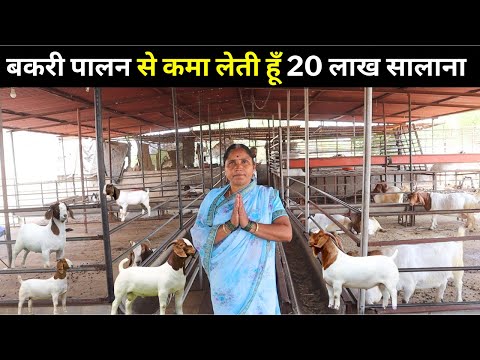 बकरी पालन से कैसे कमाए 20  लाख सालाना 😐