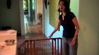 Premium Plus Pet Gate new from Richell USA