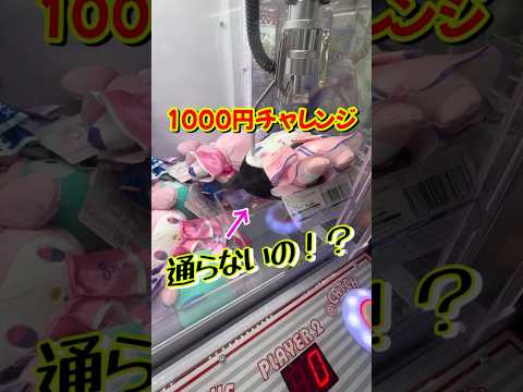 ぬいぐるみが欲しければ押し込め！#クレーンゲーム #shorts #short #攻略 #コツ #ufoキャッチャー #clawmachine #shortvideo