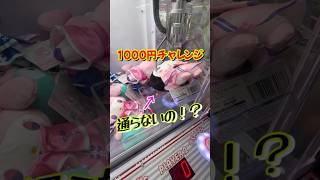 ぬいぐるみが欲しければ押し込め！#クレーンゲーム #shorts #short #攻略 #コツ #ufoキャッチャー #clawmachine #shortvideo