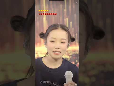 Gió Lớn Thổi Đổ Cây Ngô Đồng 大风吹倒梧桐树 (DJEVA版) - Đậu Bao 豆包 Live 2024