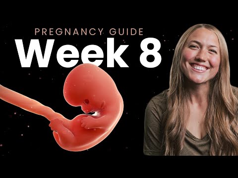 8 Weeks Pregnant | Week By Week Pregnancy