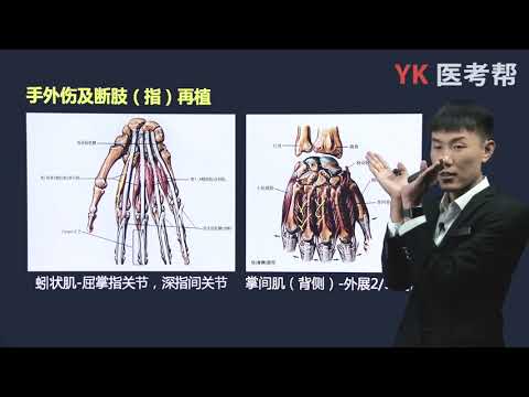 第六十章 手外伤及断肢（指）再植 01 解剖、手的姿势与功能、损伤原因、检查与诊断、治疗原则