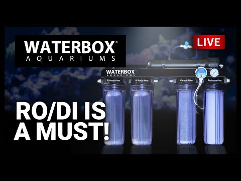 Episode 157: Using RO/DI water in a saltwater aquarium is important and we're breaking down why.