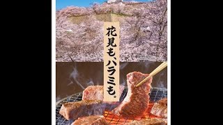 津山市観光プロモーション「幸せホルモンあふれる旅。津山市」（平成29年3月制作）