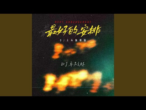 最好的安排 (Dj上头旋律版)