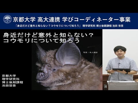 京都大学 高大連携 学びコーディネーター事業 「身近だけど意外と知らない？コウモリについて知ろう」