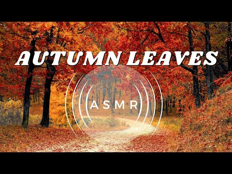 Crunching Leaves | ASMR for Autumn Relaxation