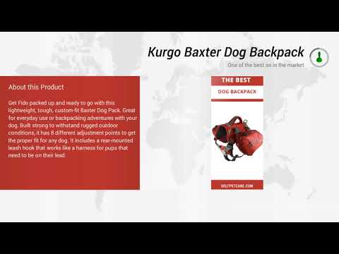 Kurgo Baxter Dog Backpack