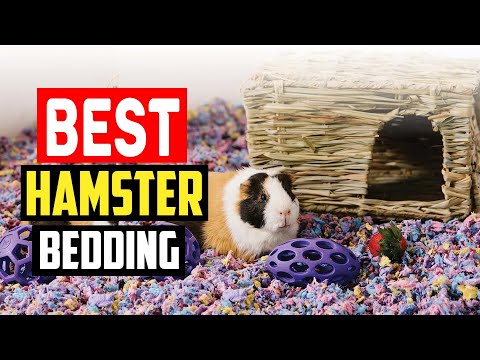 ✅Best Hamster Bedding in 2023