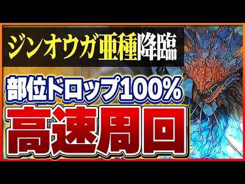 【ジンオウガ亜種降臨】ずらし周回の新星！ネロミェールで快適周回！部位ドロップ100％！【パズドラ】