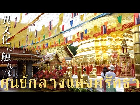 Thailand is like this! ~Golden temple on the mountaintop~ [Chiang Mai trip] DAY2