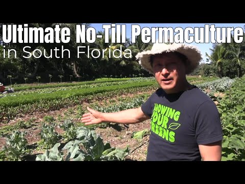 Empower Farm: The Ultimate No-Till Organic Permaculture in the Tropics