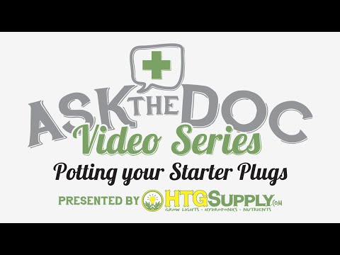 Potting your Starter Plugs: Ask The Doc