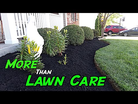 Lawn Care and Gardening Improves Lives | More Than Lawn Care