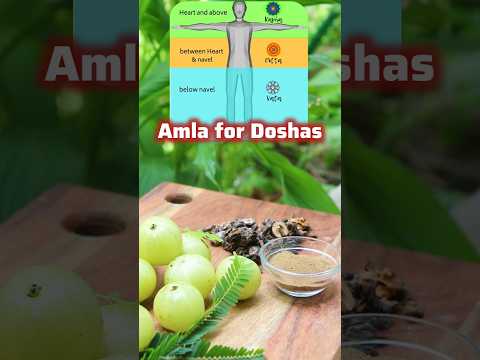 Amla according to Dosha type/Amla for Vata-Pitta-Kapha Dosha Types #shorts #ayurveda