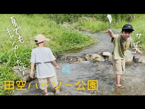 【沖縄キャンプ場】北部の田空ハーソー公園。川あり！動物あり！公園あり！ファミリー向けのキャンプ場で川エビを食らう。