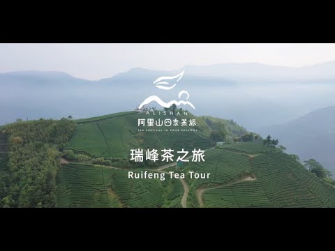 2021阿里山春季線上茶旅-瑞峰 茶之旅-Alishan Tea Festival In Four Seasons