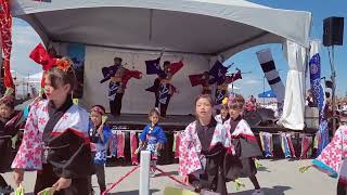 Omatsuri:calgary Japanese festival | August 2022