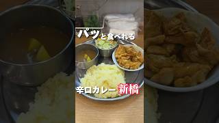 サッと食べてパッと帰るランチはスッとカレーを出してくれるのか【#虎ノ門グルメ】ガン爺