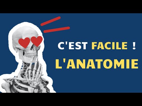 Apprendre et retenir l'anatomie à long terme !? 😍