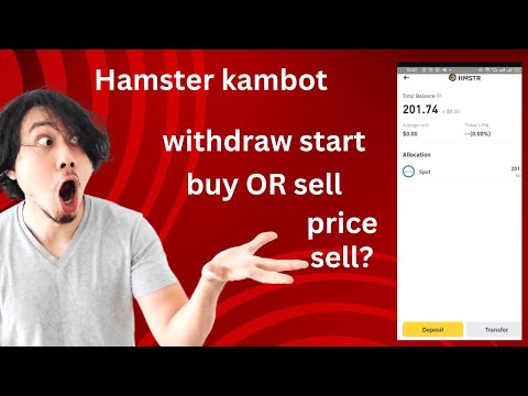 Hamster kombot withdraw now|hamster price prediction|hamster update