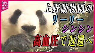 【パンダまとめ】上野動物園のパンダ　リーリーとシンシンを来月末に中国に返還　など（日テレNEWS LIVE）