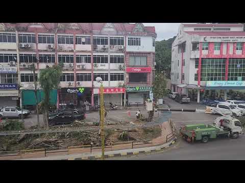 Tree Cutting work by kapit District council