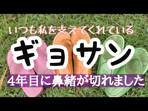 【ギョサンライフ】４年目で鼻緒が切れました