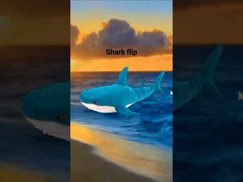 shark Flip #vtuber #vtuberbr #viral #foryou #blåhaj #ikeashark #beach #shorts