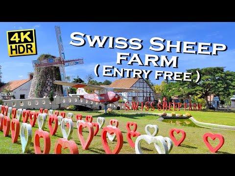 Swiss Sheep Farm Pattaya Thailand 4K HDR  Dolby Atmos 💖 Walking Tour 👀 Chon Buri 🇹🇭