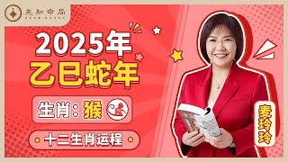 麦玲玲师傅详解2025蛇年运程：生肖猴！事业运、财运、人际关系、爱情、婚姻、健康全解析！