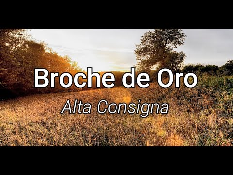 Alta Consigna - Broche de Oro (Letra/Lyrics)