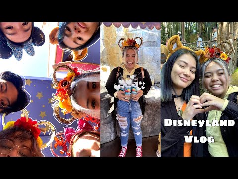 disney vlog๑: picking up carat friends, brunch in Monrovia, Disneyland with carat friends, etc.e