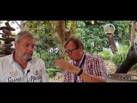 Miet Finca Mallorca. Interview mit Peter Drosten