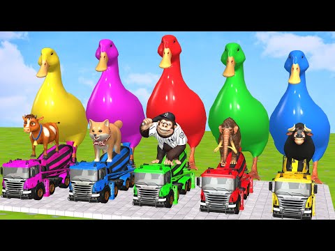 5 Giant Duck Cartoon,Cow,Elephant,Giraffe,Tiger,Lion, Paint Wild Animals Crossing Fountain Animation